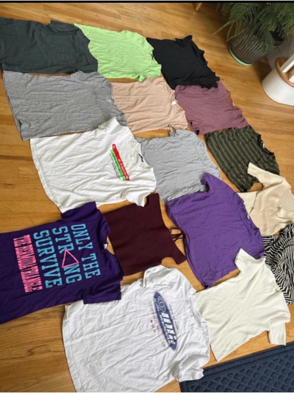 $2 Women’s Teen’s Tees T-Shirt bundle size S